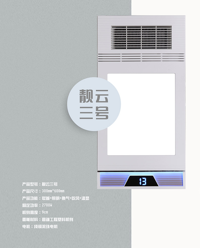 靚云三號