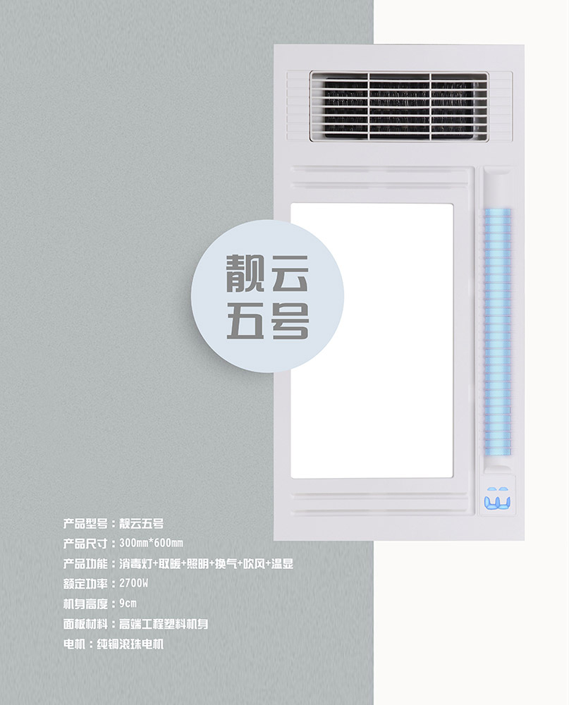 靚云五號