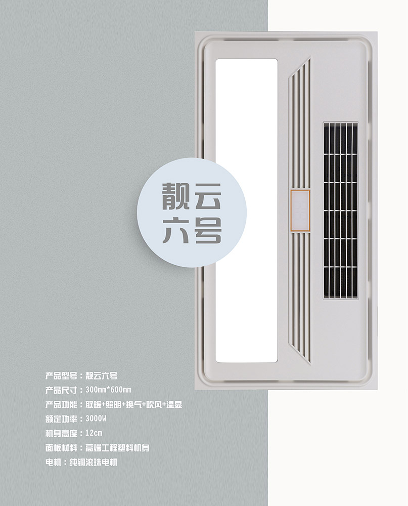 靚云六號